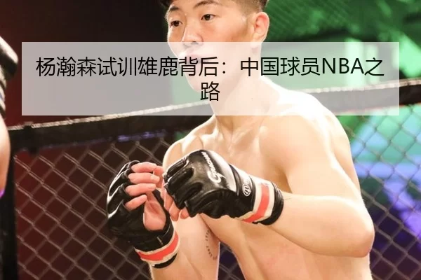 杨瀚森试训雄鹿背后：中国球员NBA之路 - kaiyun app